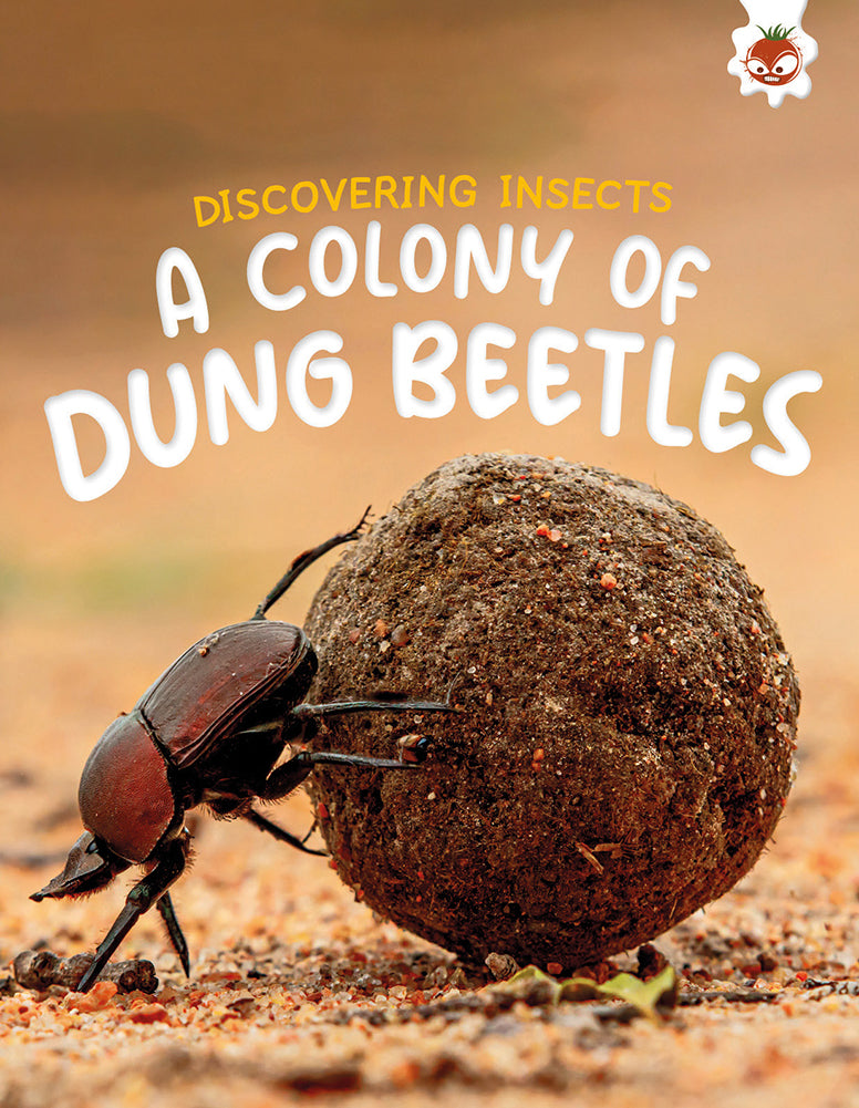 Discovering Insects: A Colony of Dung Beetles