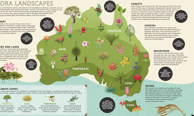 Flora: Australia's Most Curious Plants