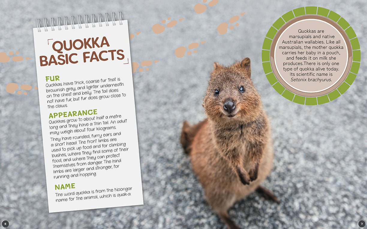 Australia's Remarkable Wildlife: Quokka - Hardcover