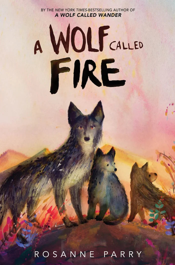 Middle Grade Fiction Variety Pack (35 titles)