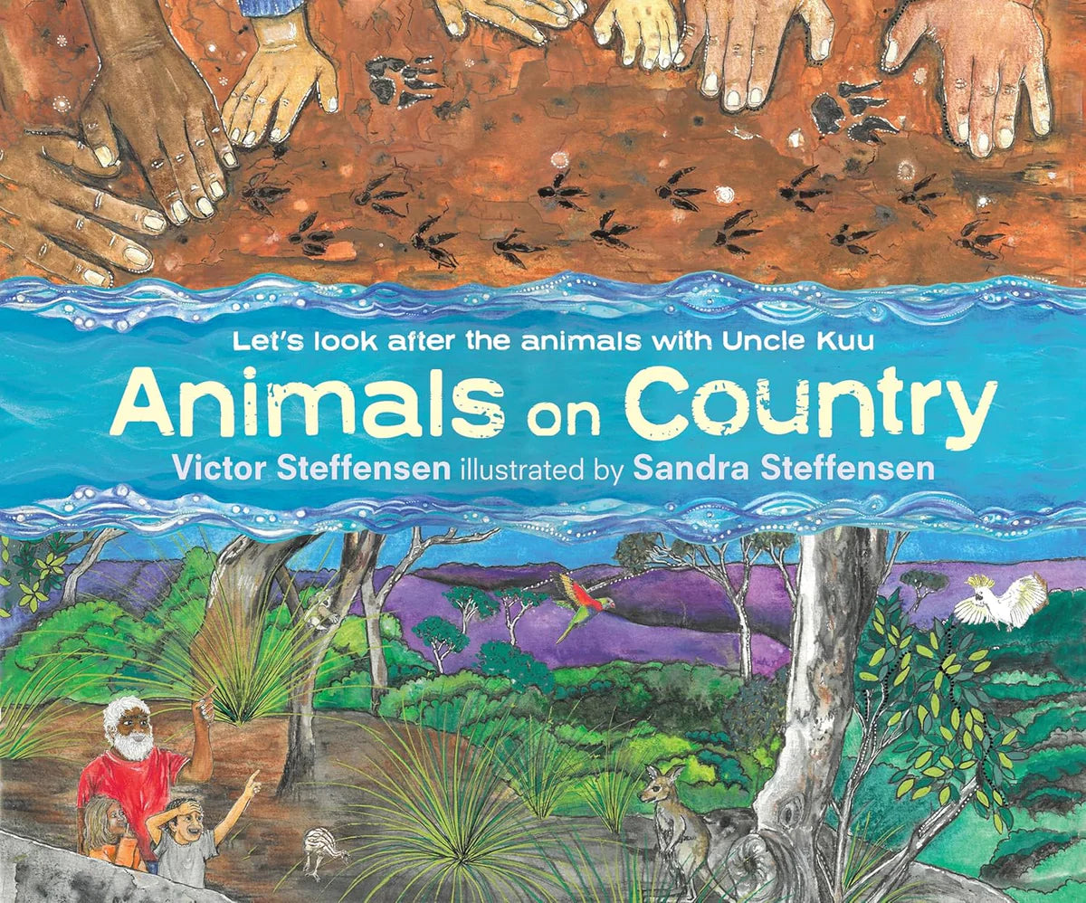Aboriginal Culture 12 Pack (Hardcover)