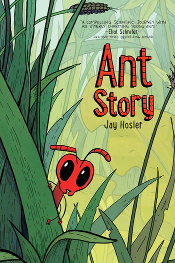 Ant Story