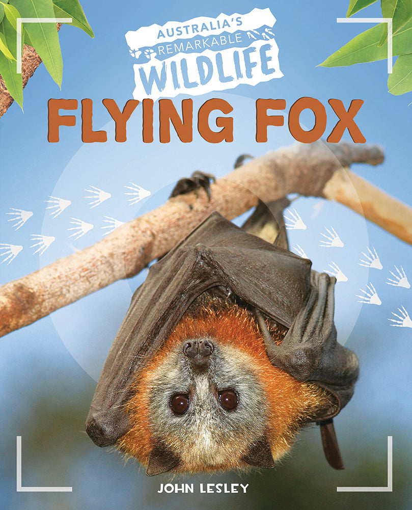 Australia's Remarkable Wildlife: Flying Fox