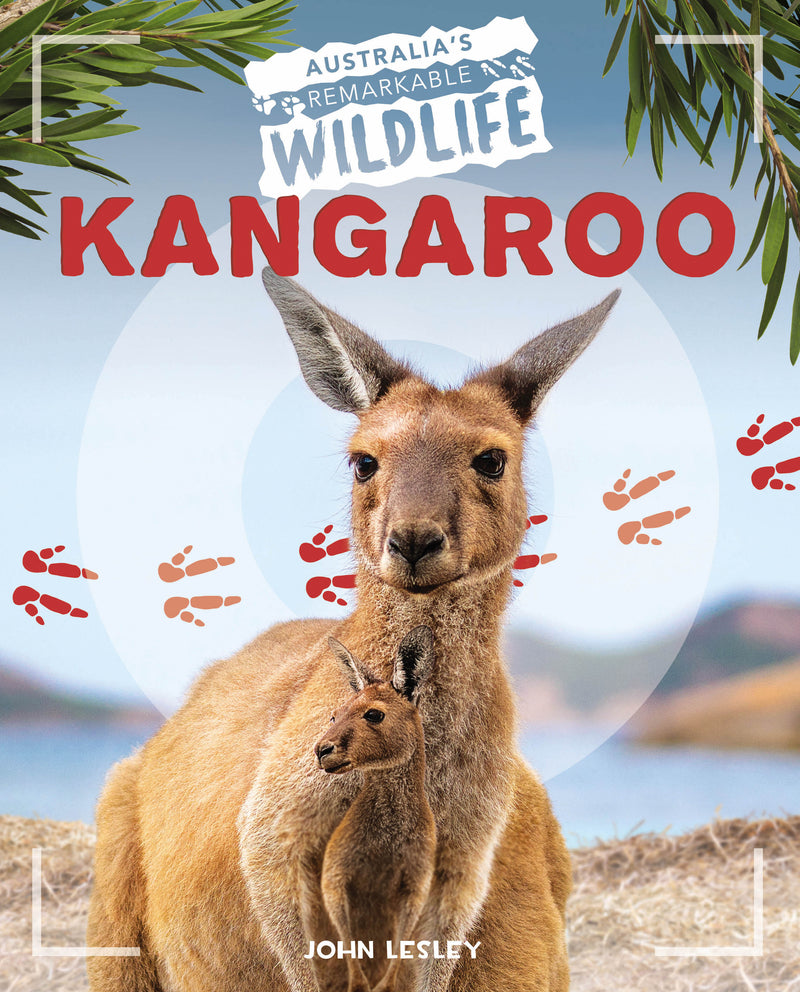 Australia's Remarkable Wildlife: Kangaroo