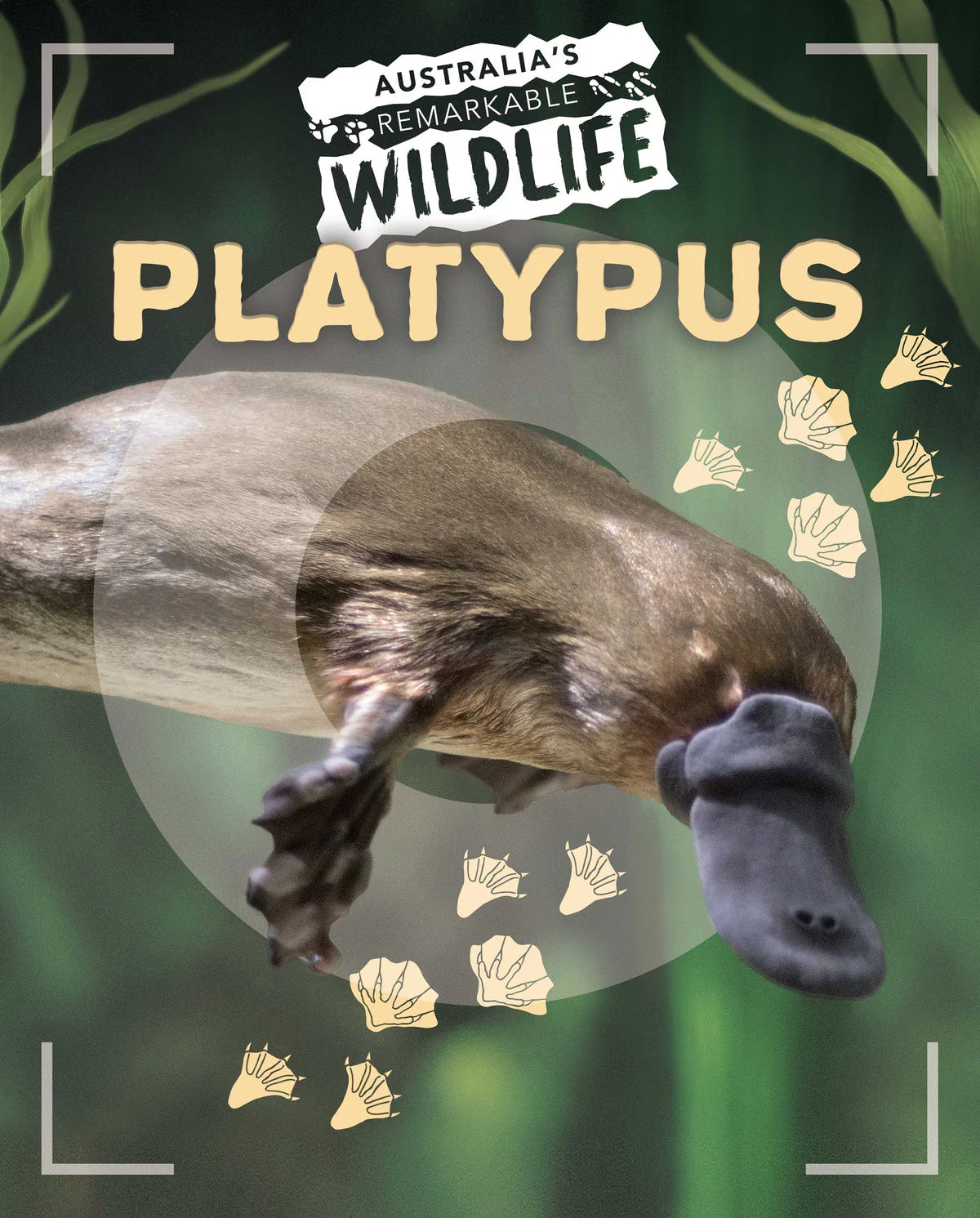 Australia's Remarkable Wildlife: Platypus (Softcover)