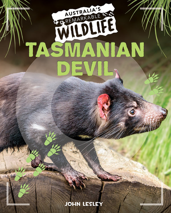 Australia's Remarkable Wildlife: Tasmanian Devil - Hardcover