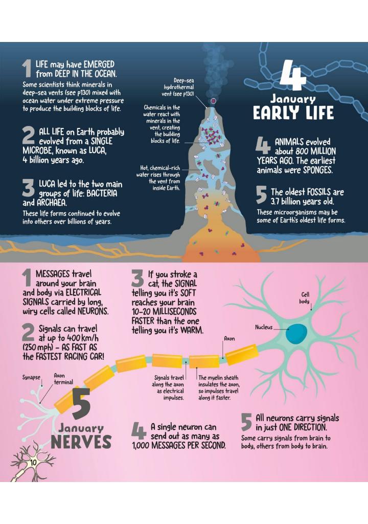 5 Facts a Day Science: A Little Bit of Learning Every Day