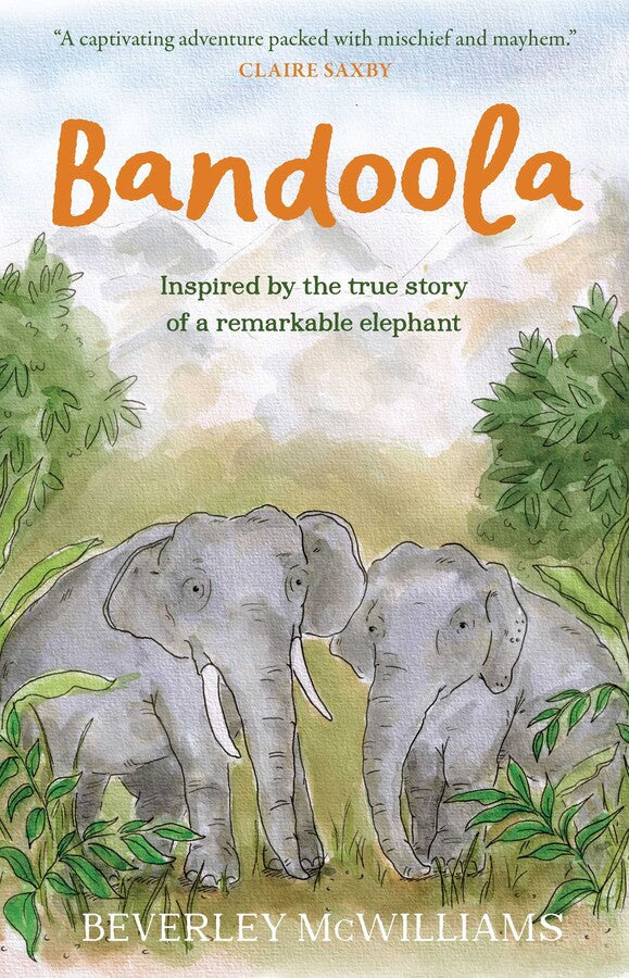 Bandoola an Elephant's Story