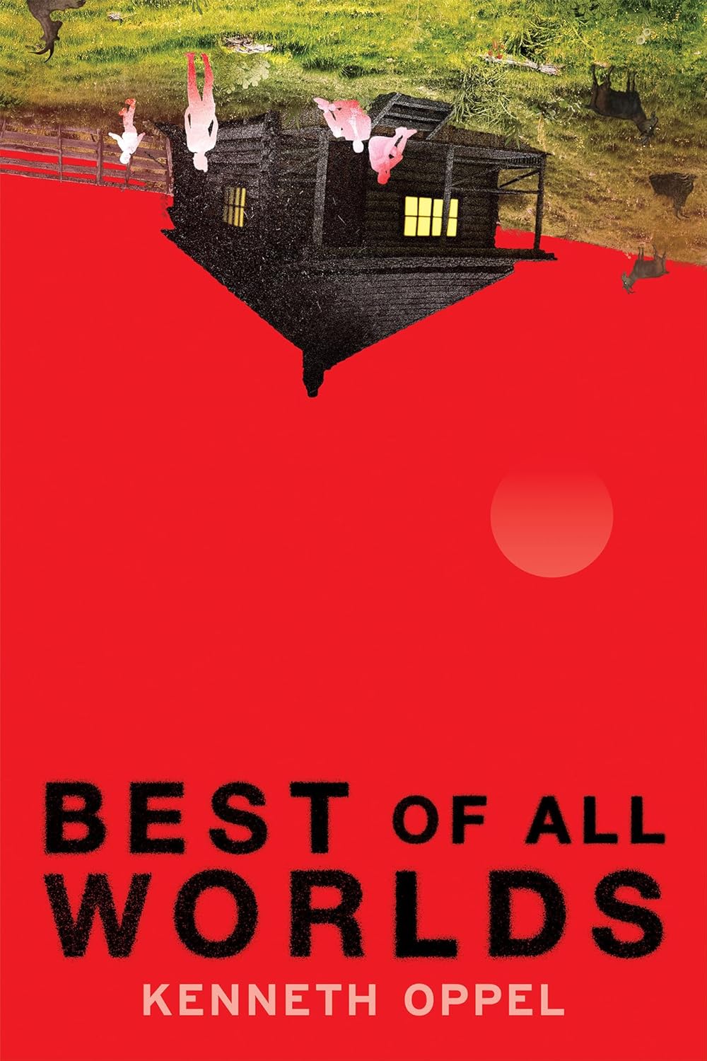 Young Adult Fiction Variety Pack (30 titles)