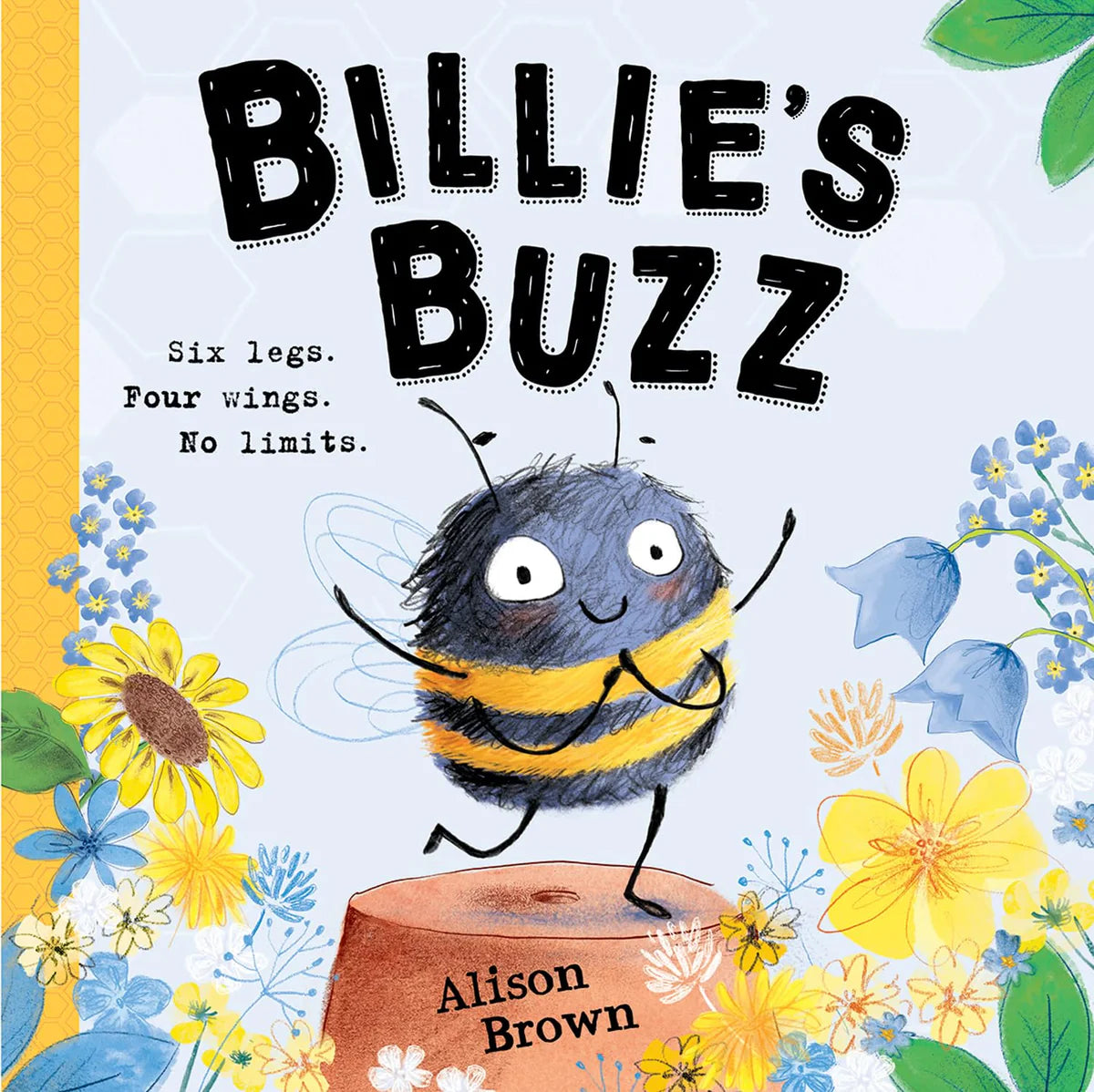 Picture Book (Softcover) Variety Pack (40 titles)