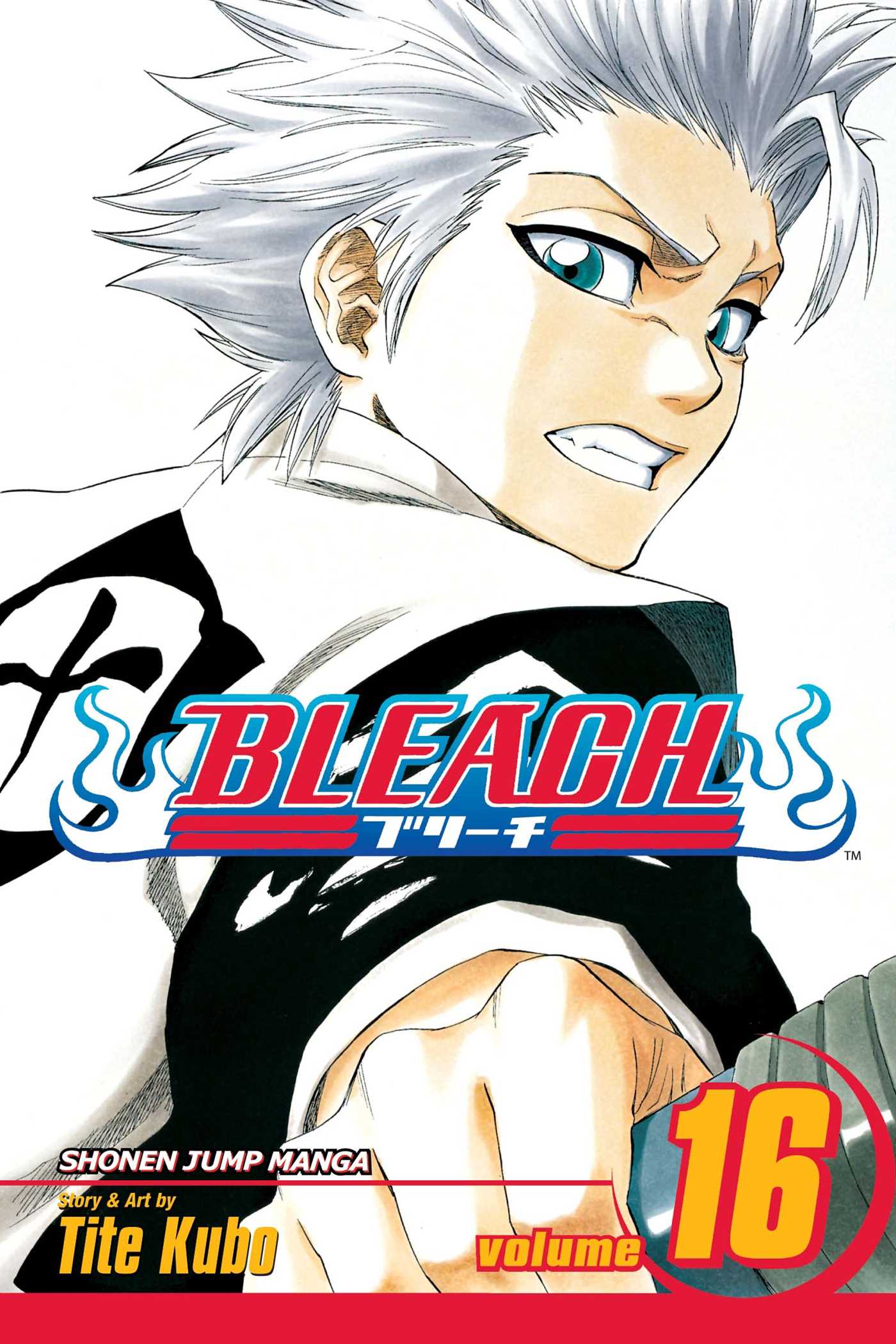 Bleach, Vol. 16