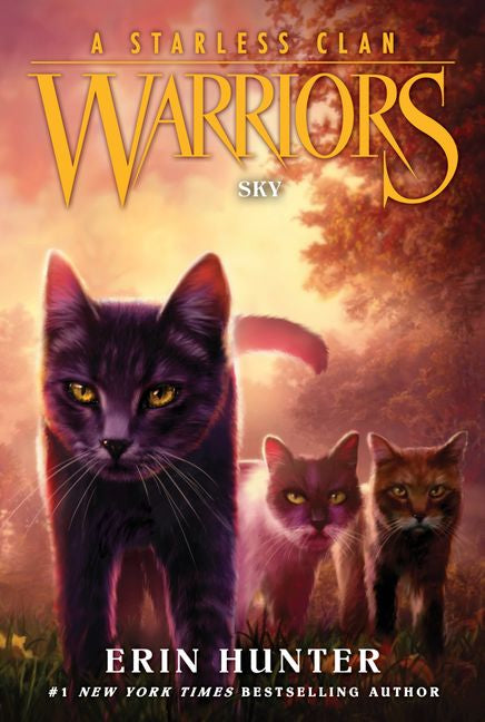 Warriors: A Starless Clan BK2: Sky