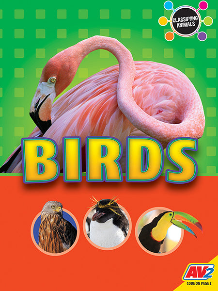 Classifying Animals: Birds