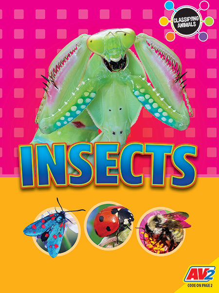 Classifying Animals: Insects