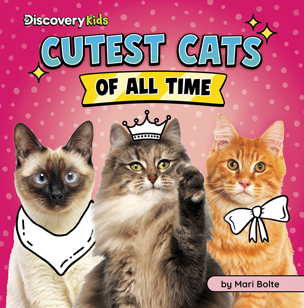 Cutest of All Time: Cutest Cats of All Time