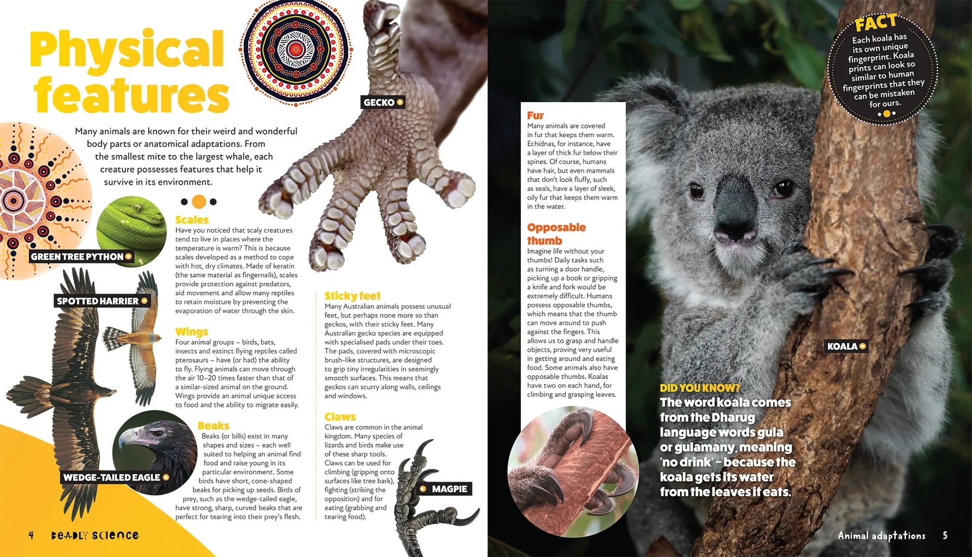 Deadly Science: Animal Adaptation