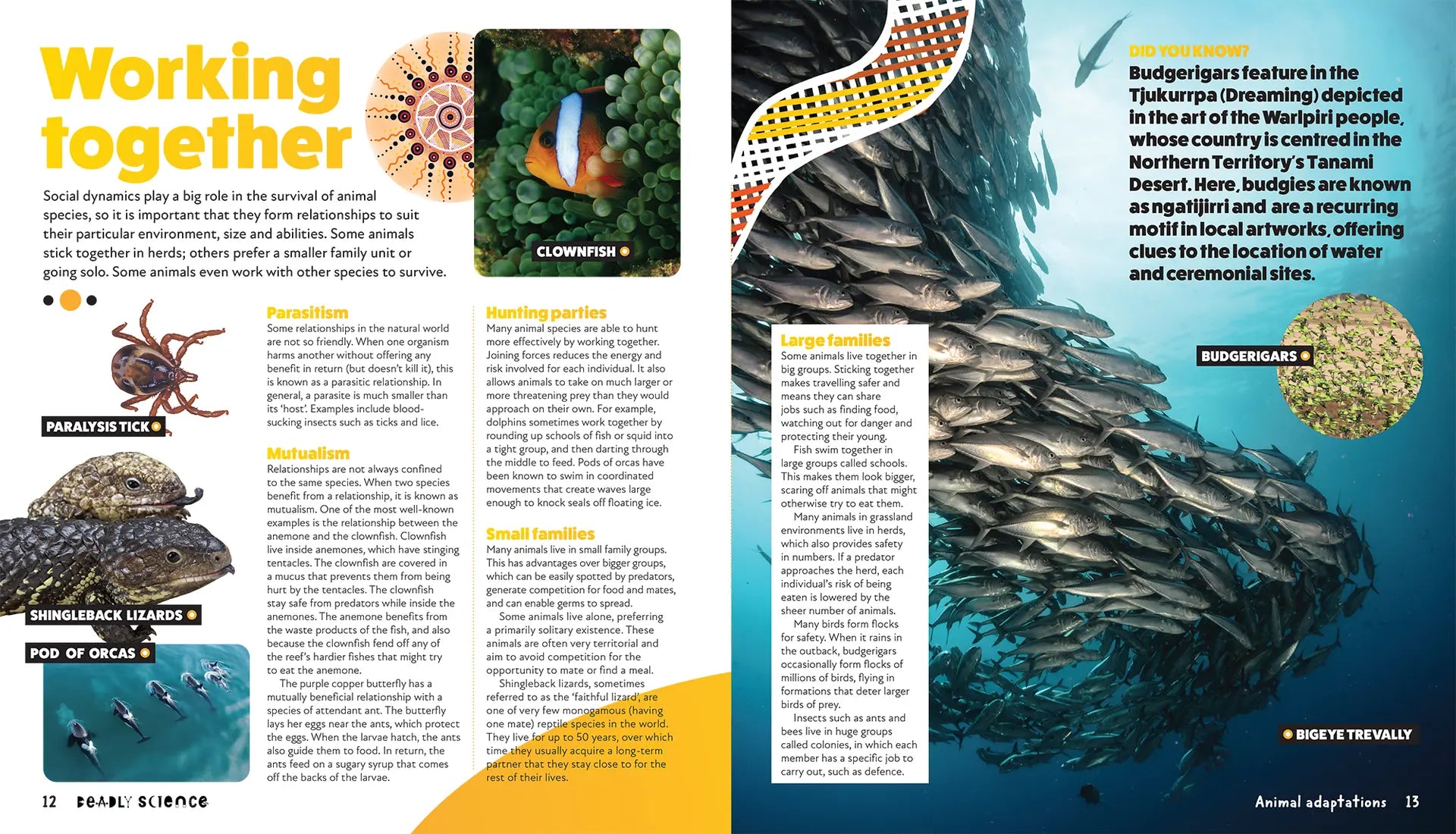 Deadly Science: Animal Adaptation