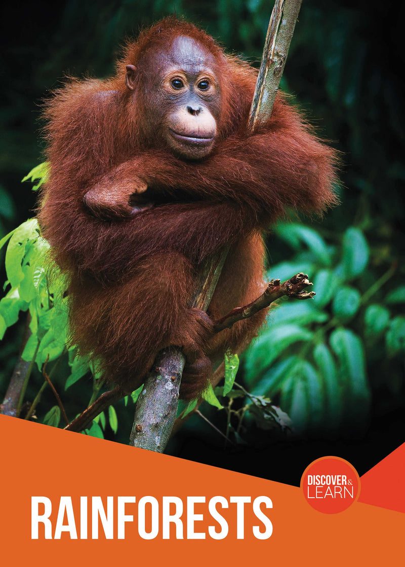 Discover & Learn: Rainforests