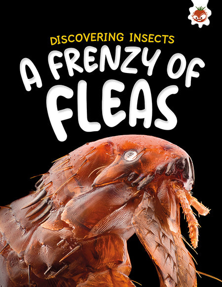 Discovering Insects: A Frenzy of Fleas