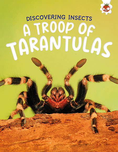 Discovering Insects: A Troop of Tarantulas