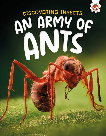 Discovering Insects: An Army of Ants