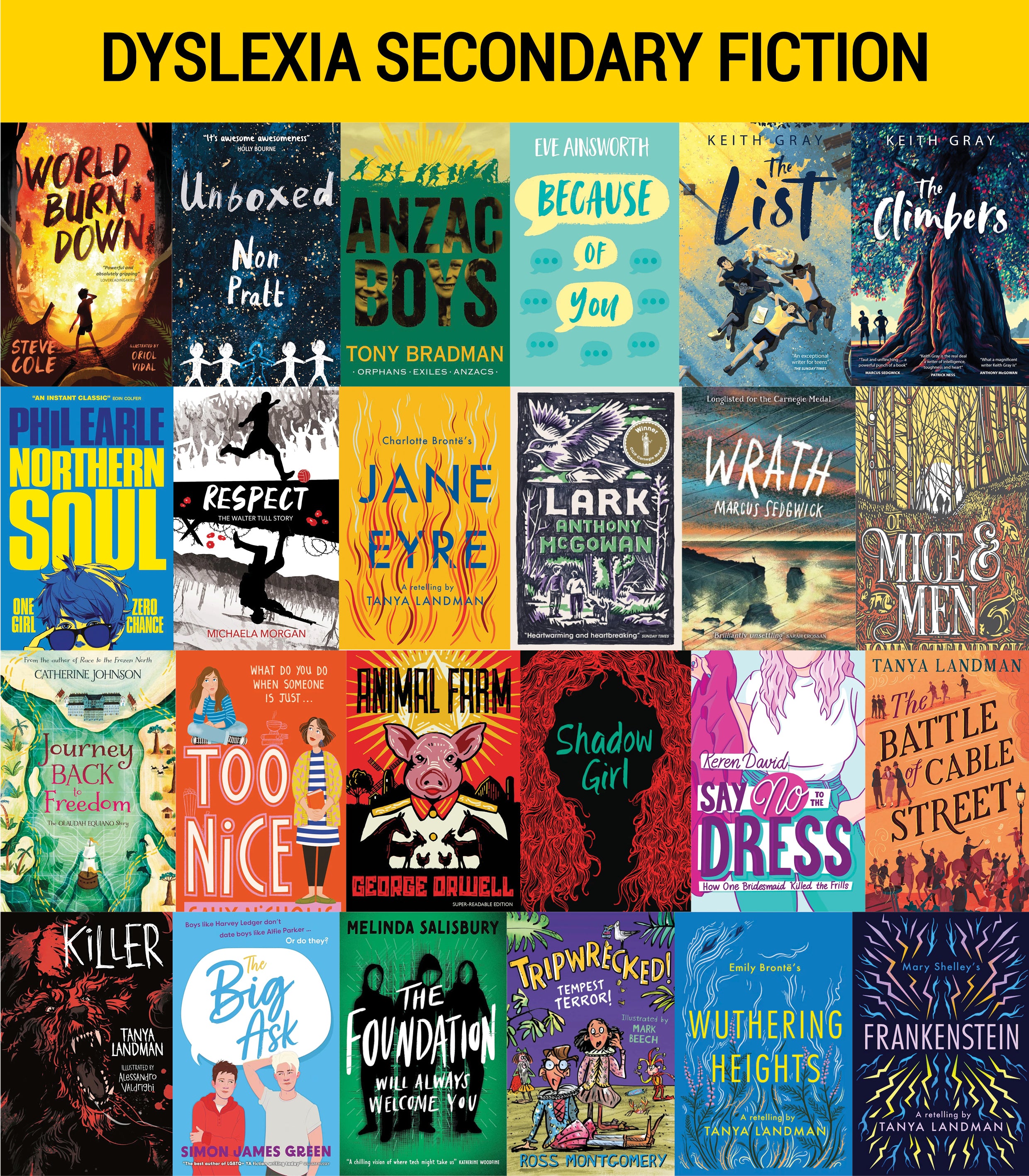 Dyslexia Friendly Secondary School Fiction Variety Pack (40 titles)