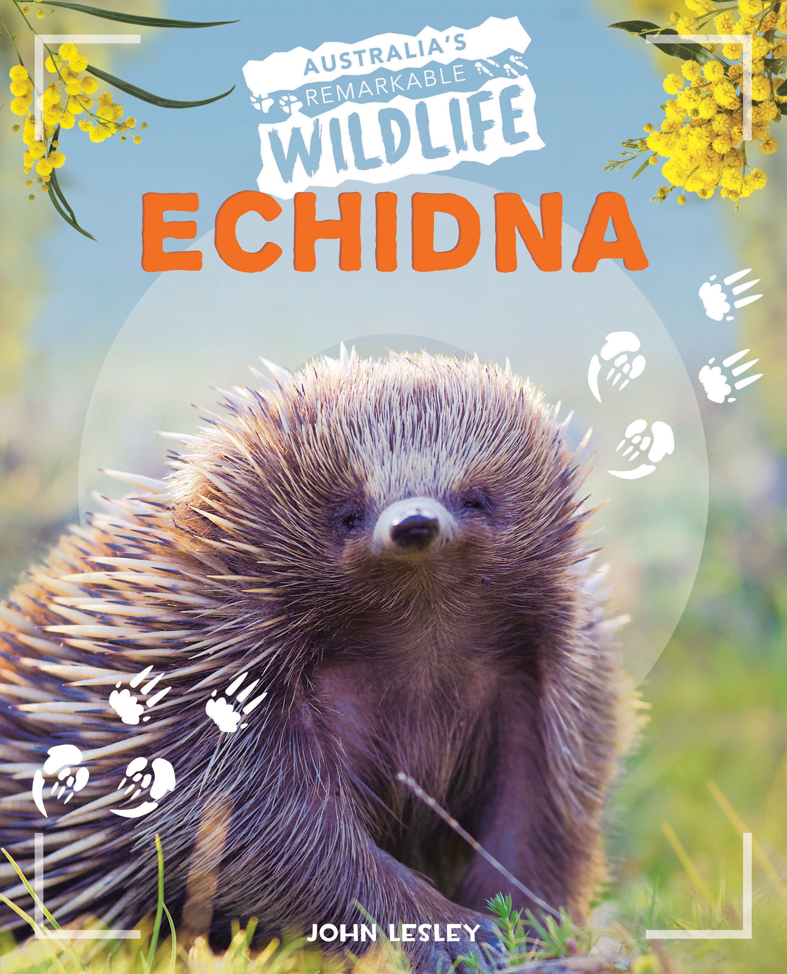 Australia's Remarkable Wildlife: Echidna (Softcover)
