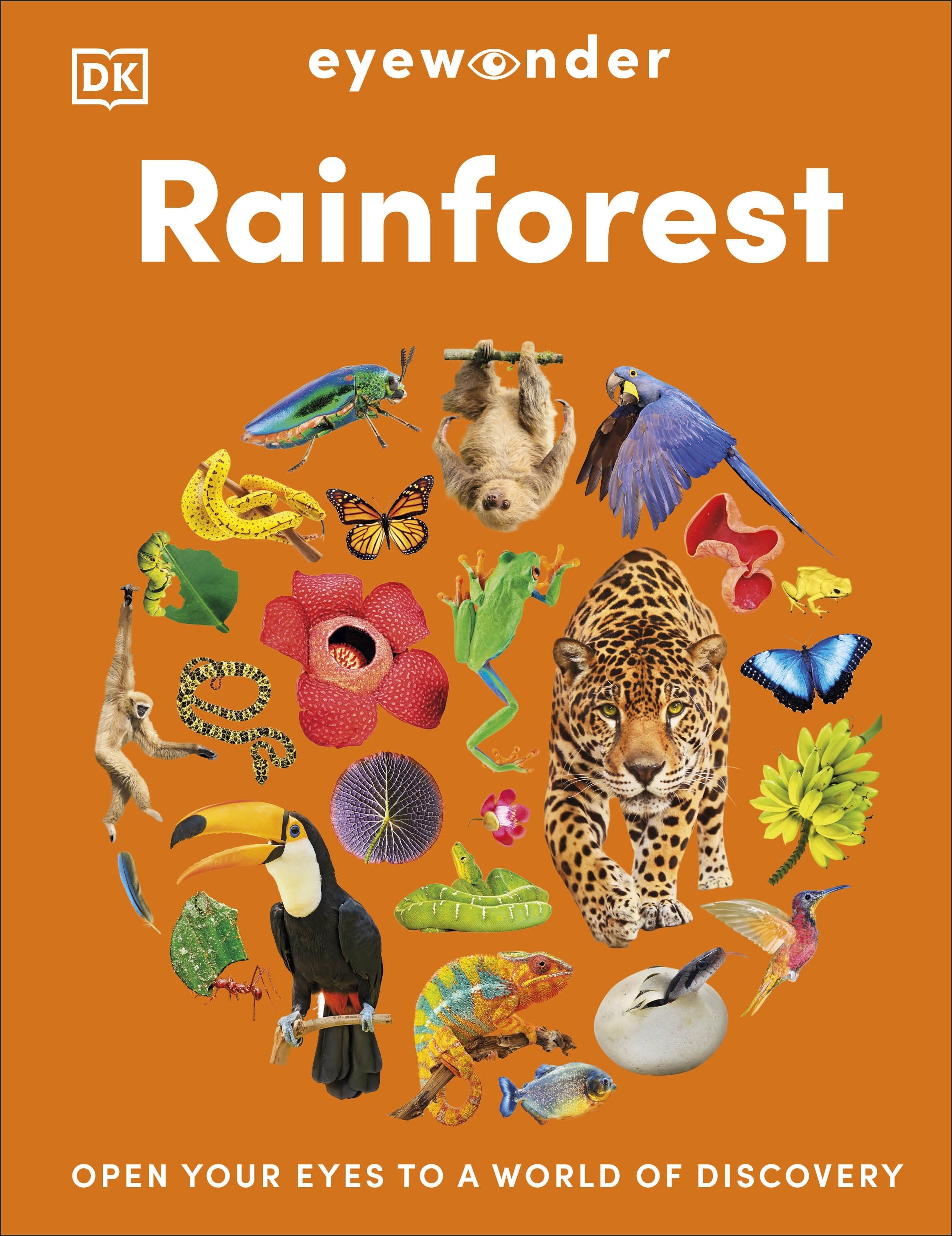 Eyewonder Rainforest