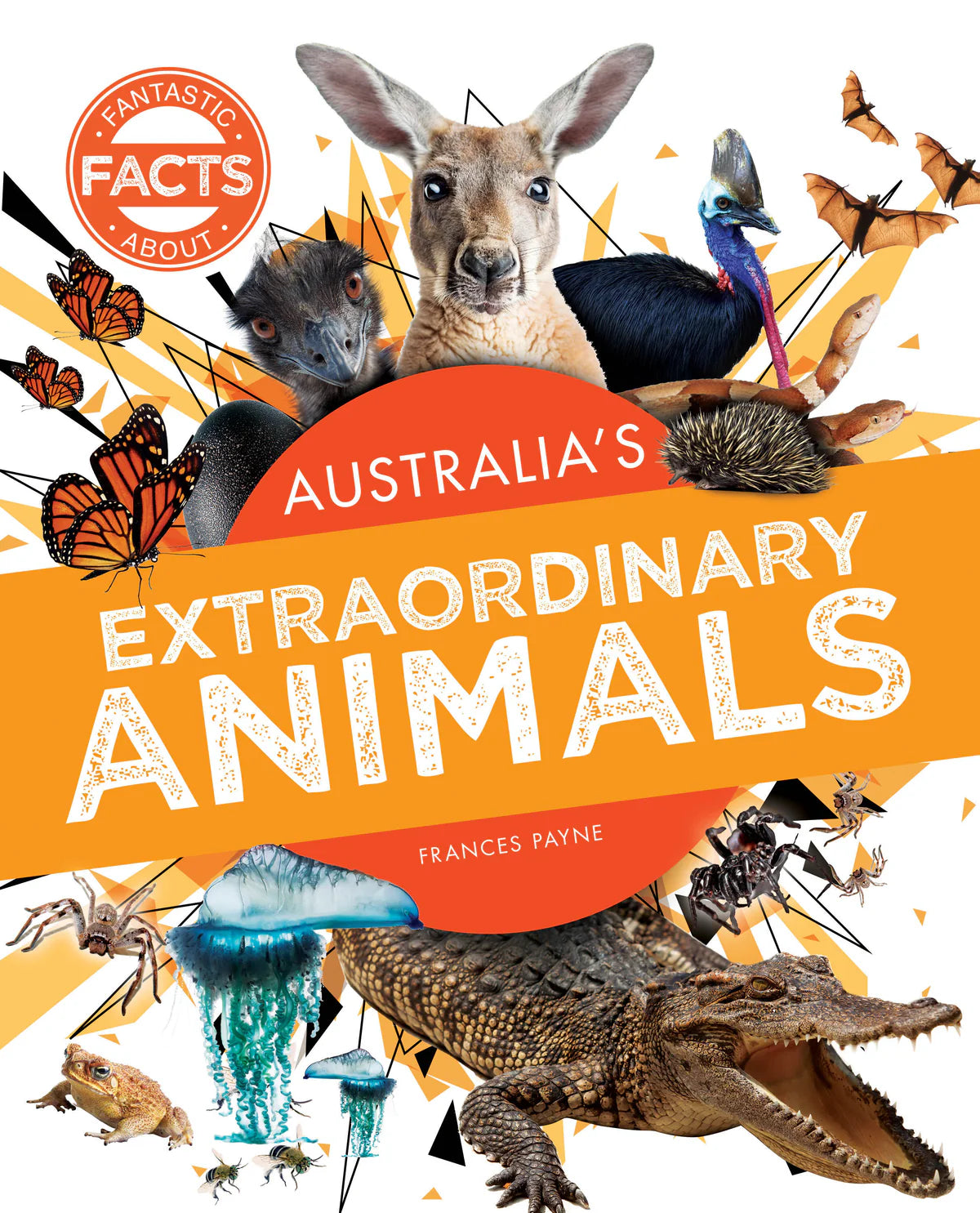 Fantastic Facts About 4 Pack (Softcover)