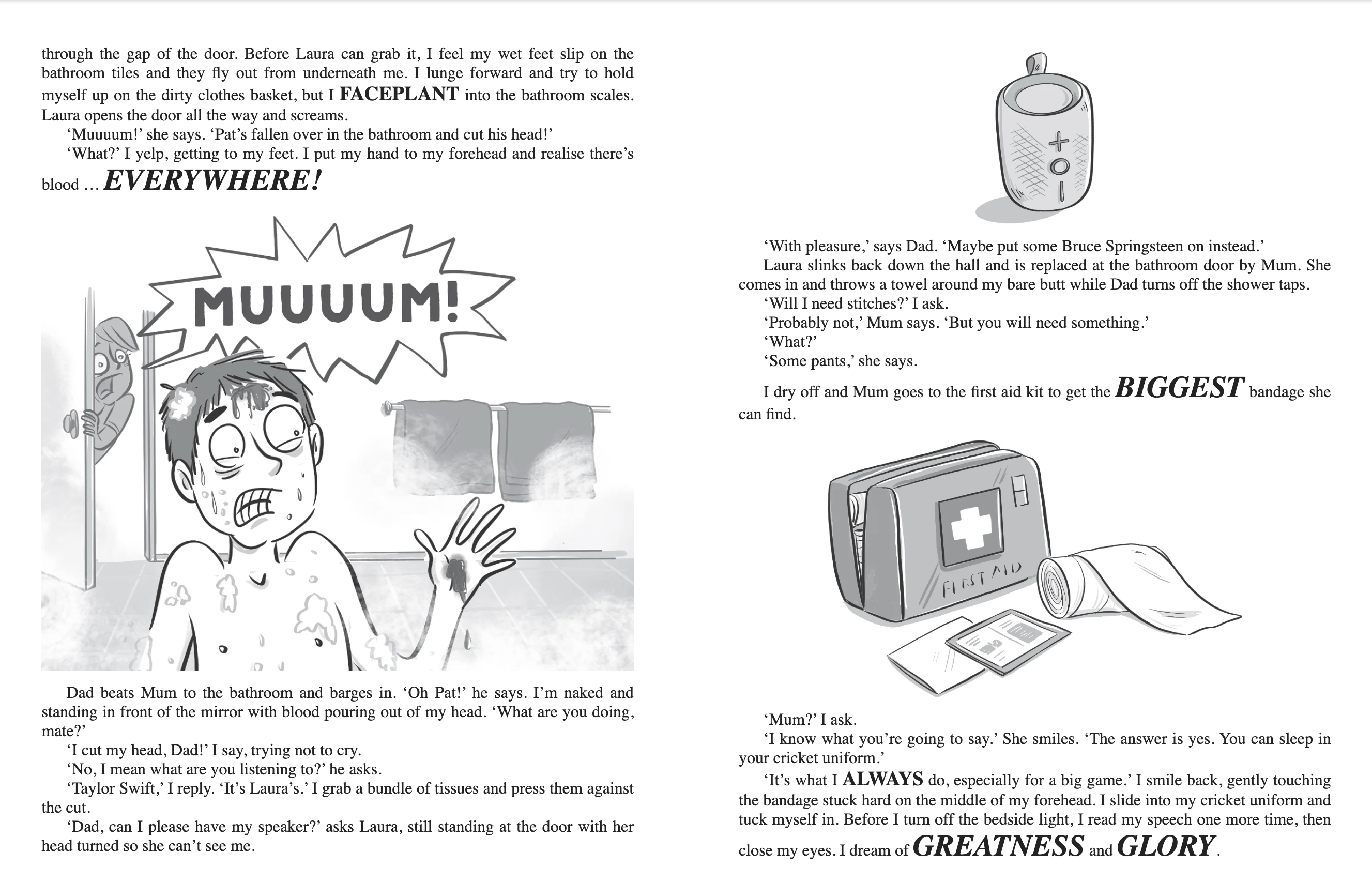 Howzat Pat 4: Cricket Champs