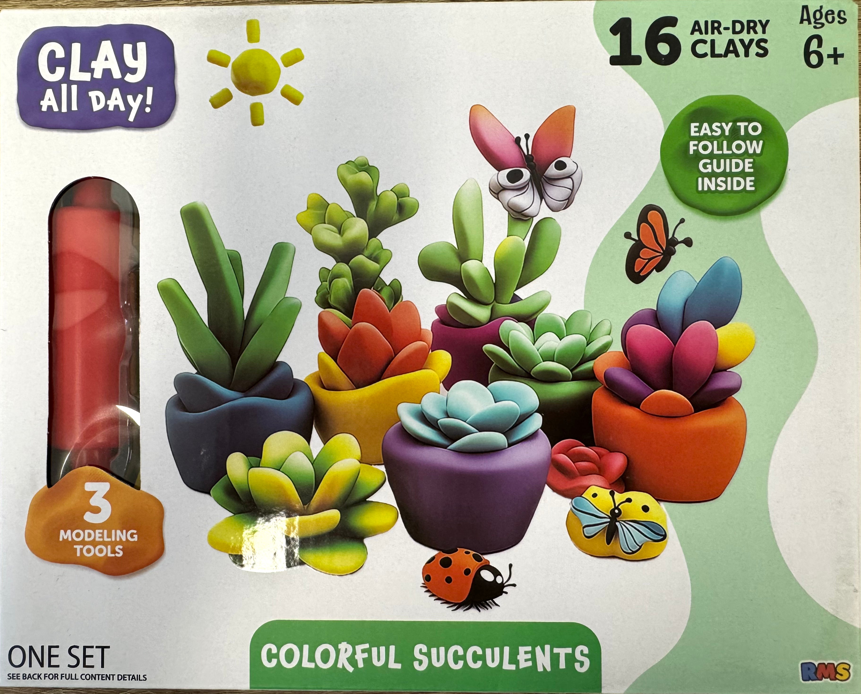 Clay All Day: Colourful Succulents
