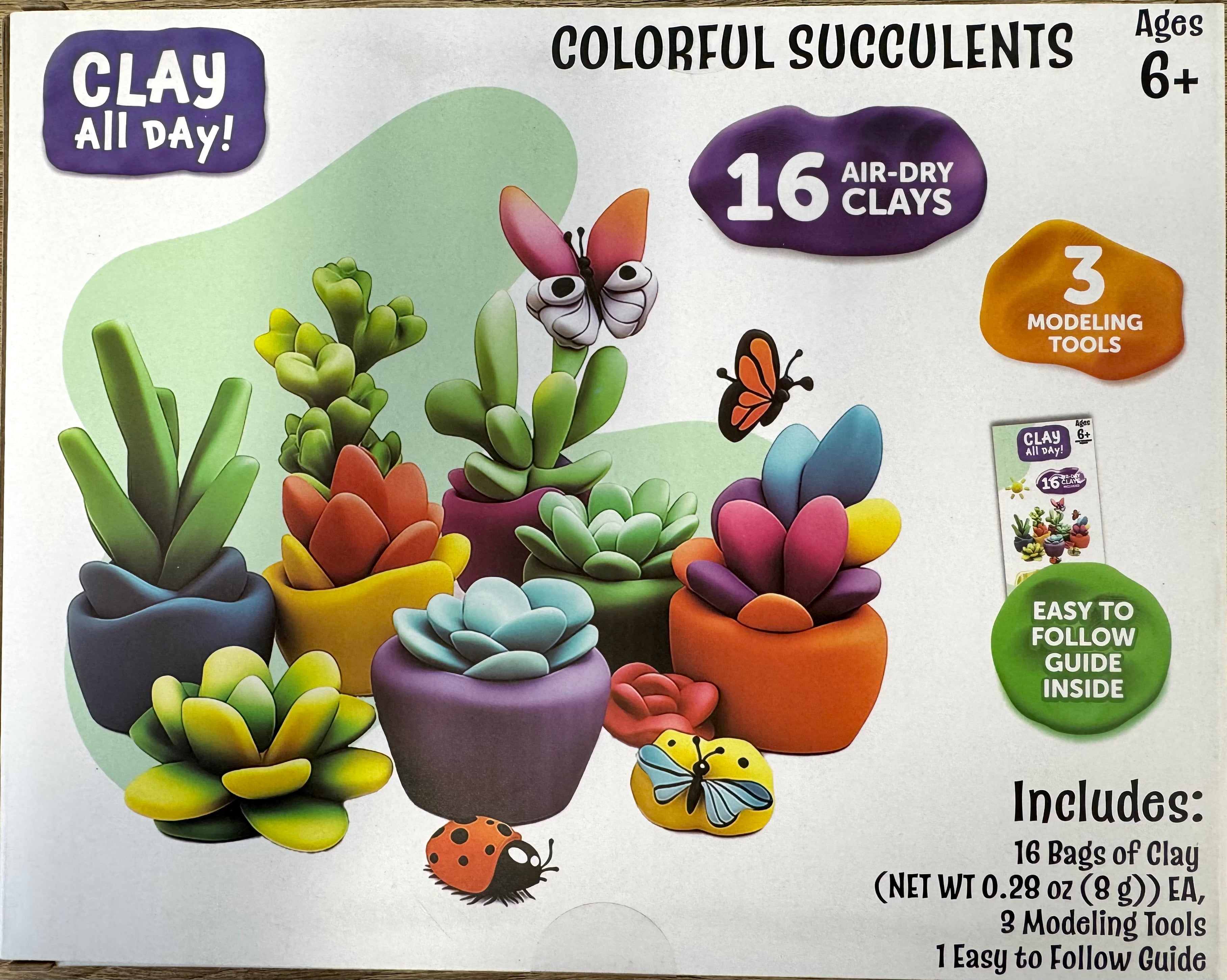 Clay All Day: Colourful Succulents