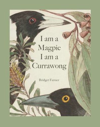 I am a Magpie I am a Currawong