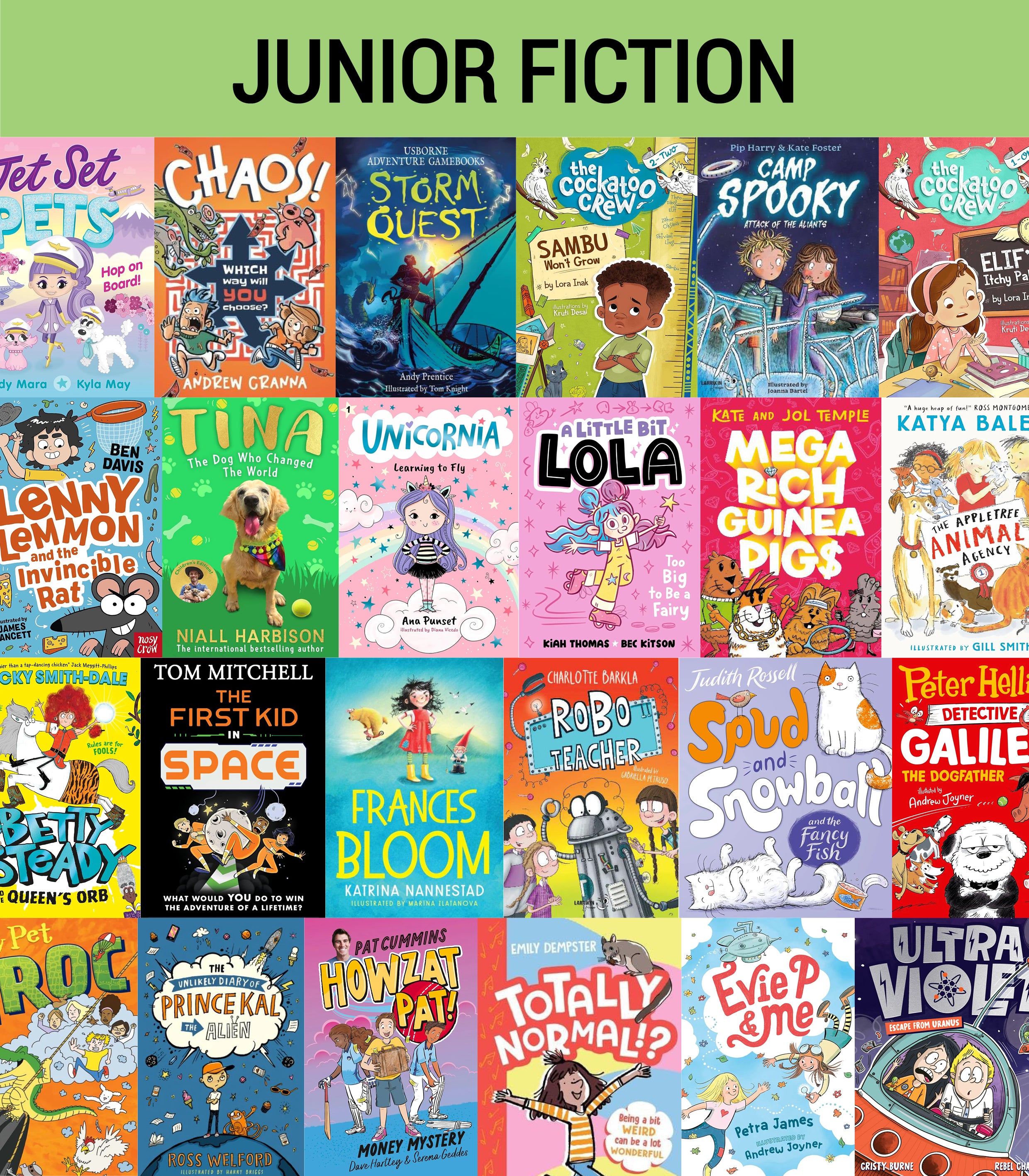 Junior Fiction Variety Pack (40 titles)