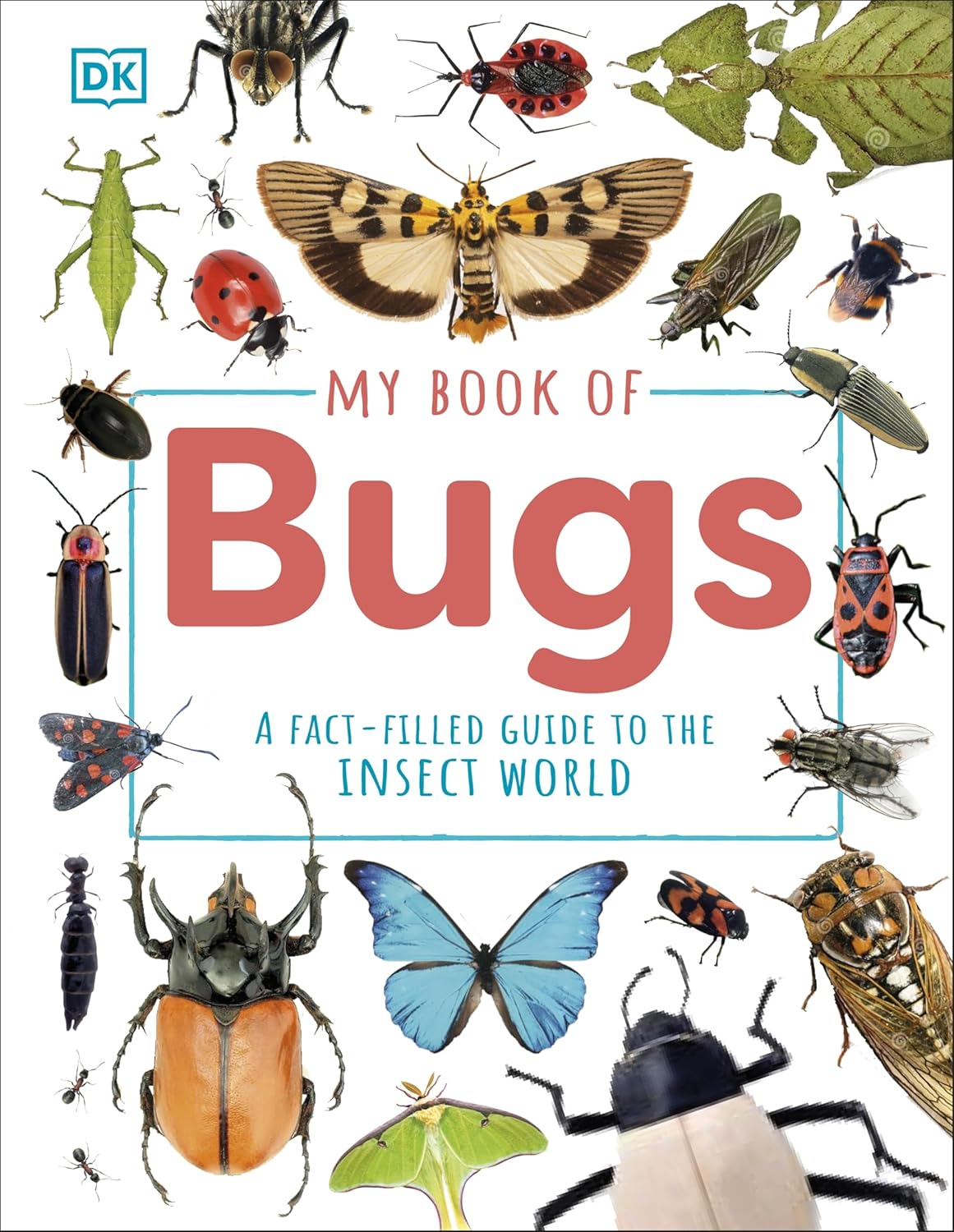 My Book of Bugs: A Fact-Filled Guide to the Insect World