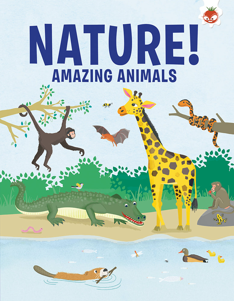 Non-fiction (Softcover) Variety Pack (40 titles)