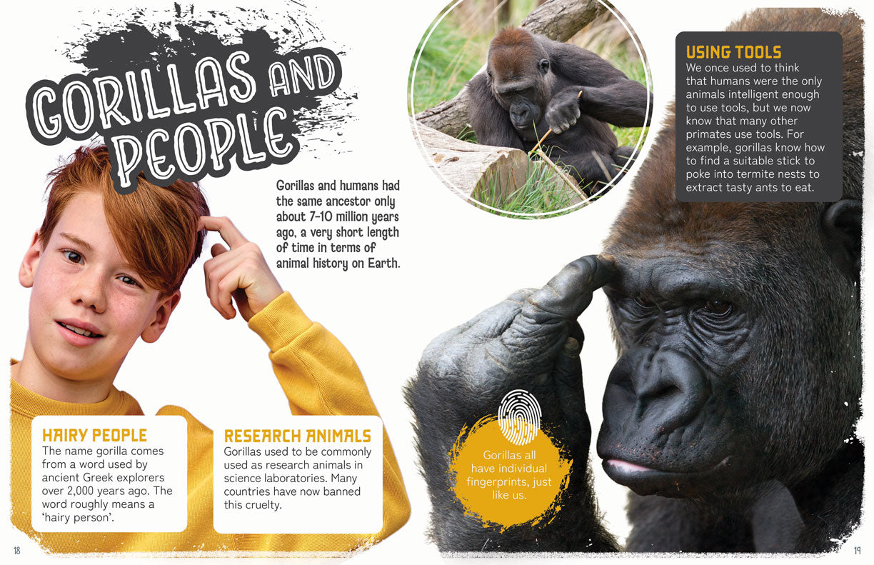 Remarkable Wildlife: Gorilla