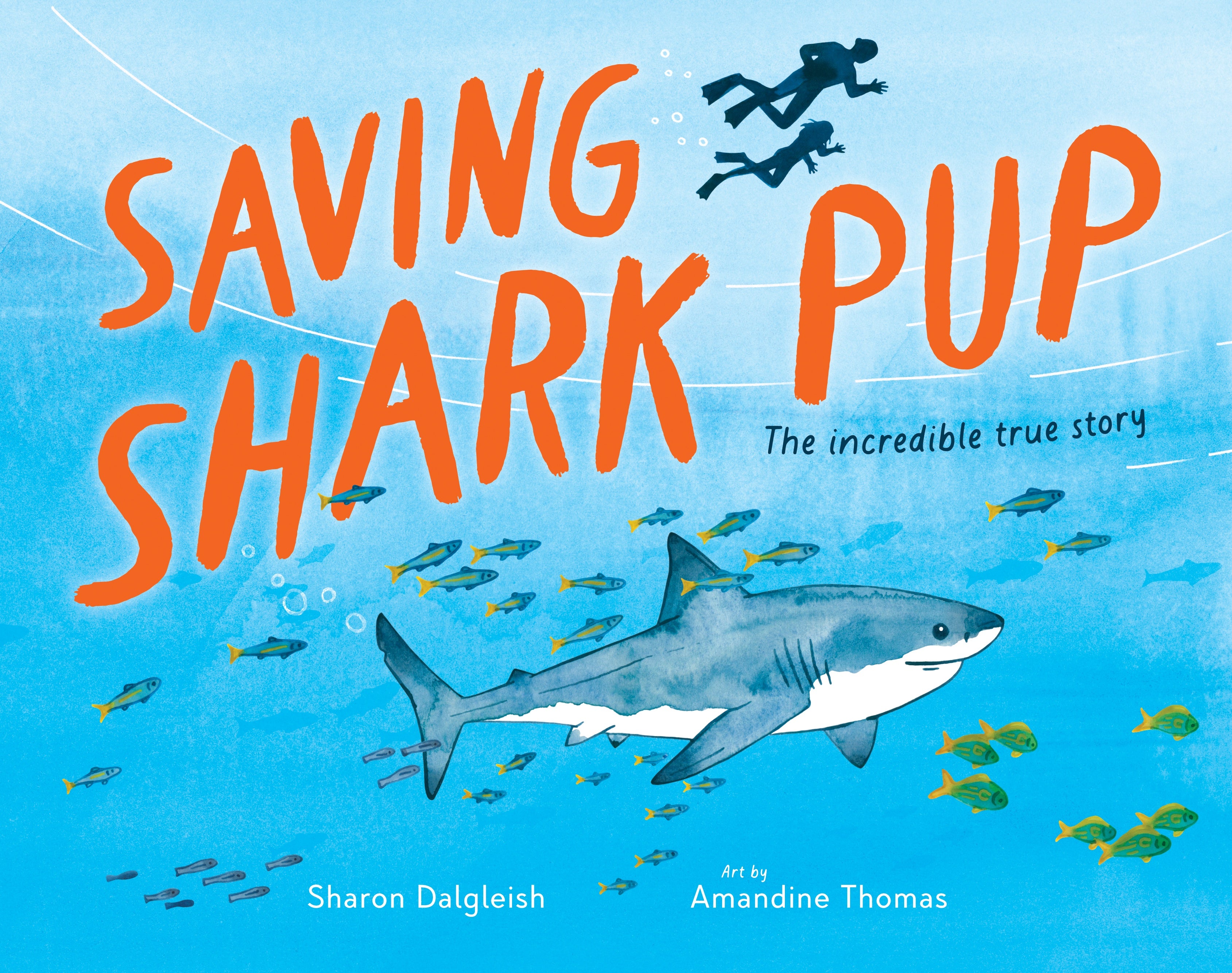Saving Shark Pup