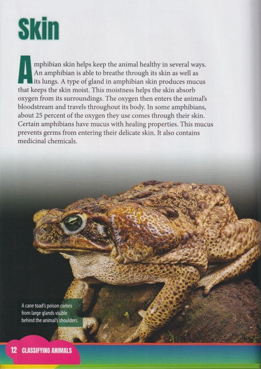 Classifying Animals: Amphibians