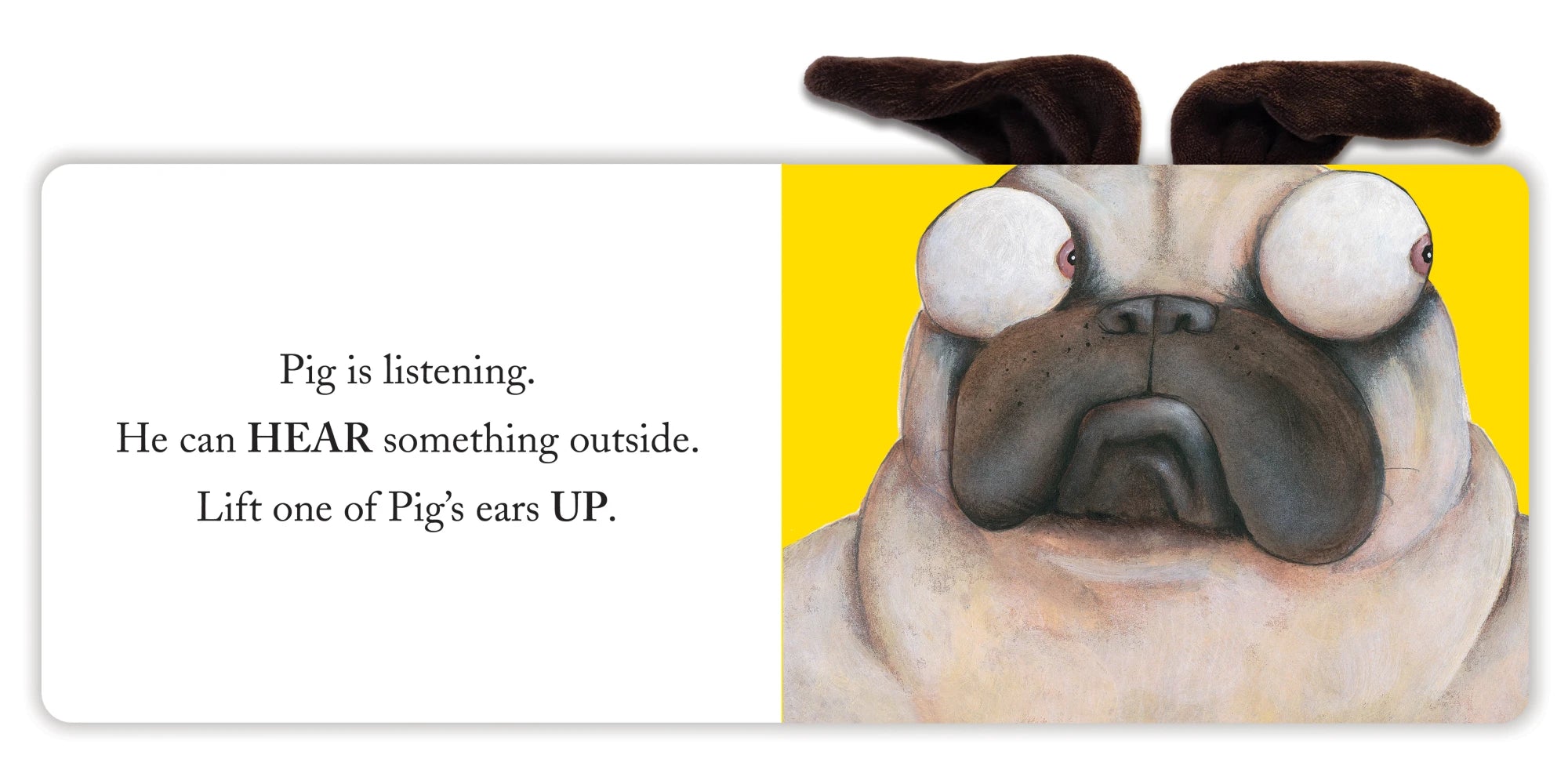 Pig's Ears (Pig the Pug)
