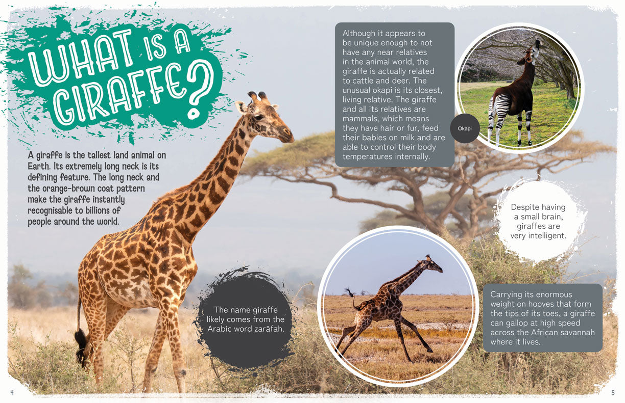 Remarkable Wildlife: Giraffe