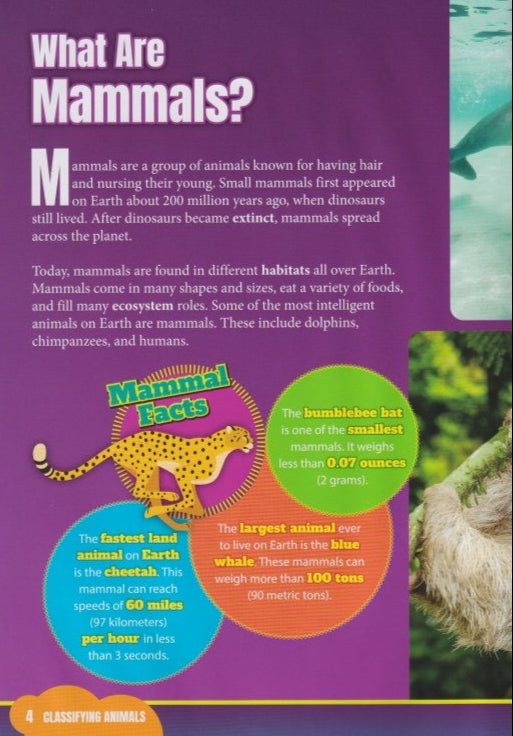 Classifying Animals: Mammals