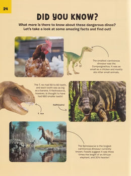 Dinosaurs Series 4 Pack