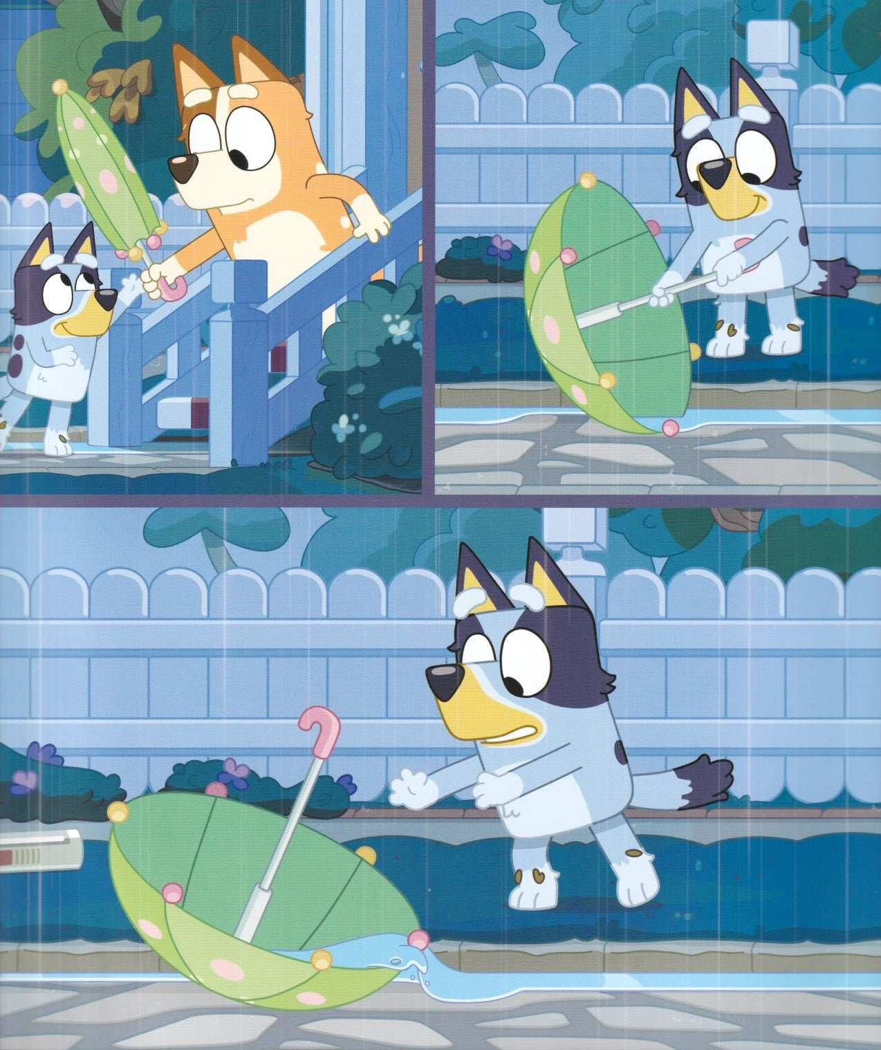 Bluey: Rain