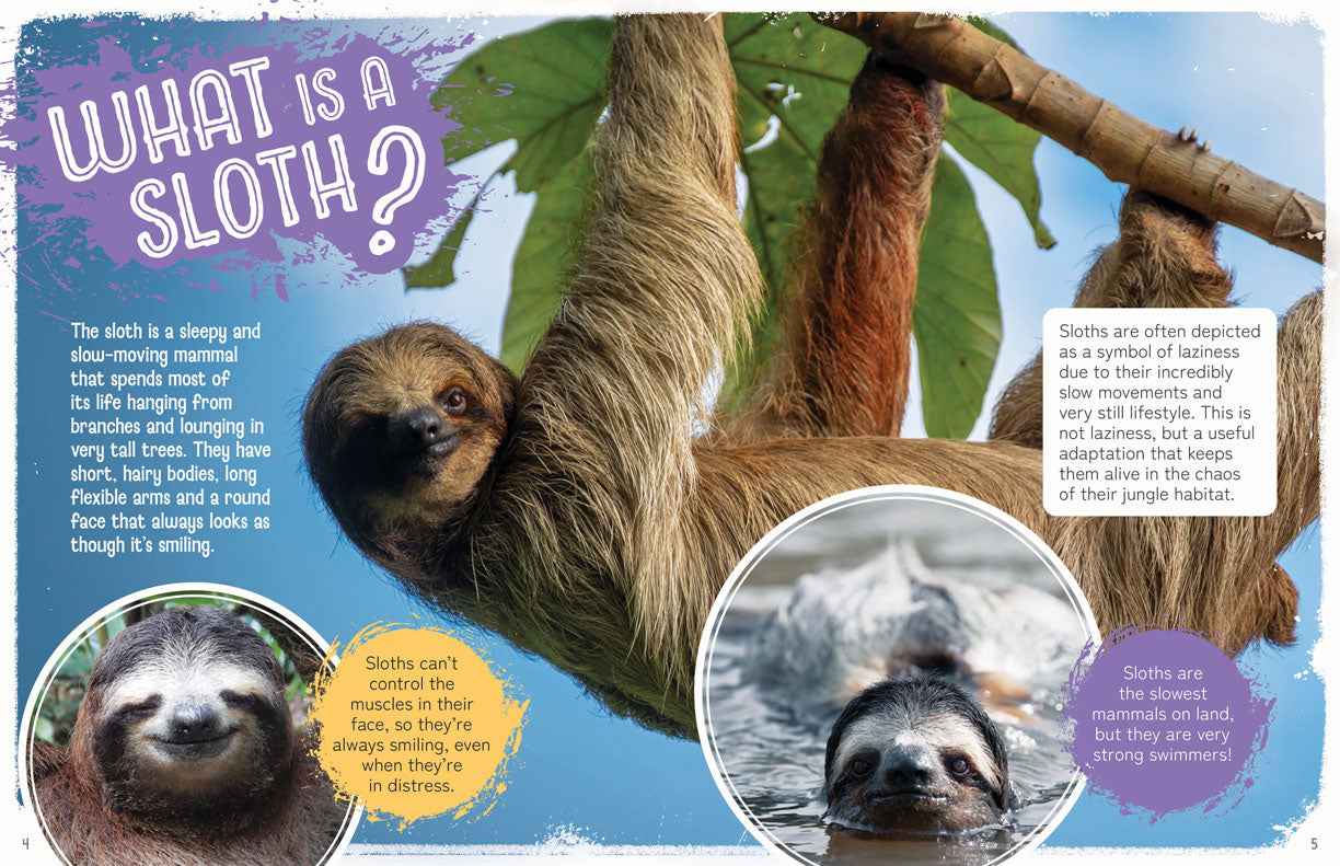 Remarkable Wildlife: Sloth