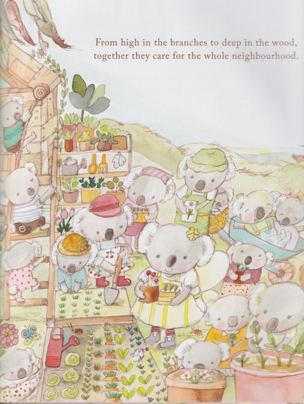 Koala Fairies