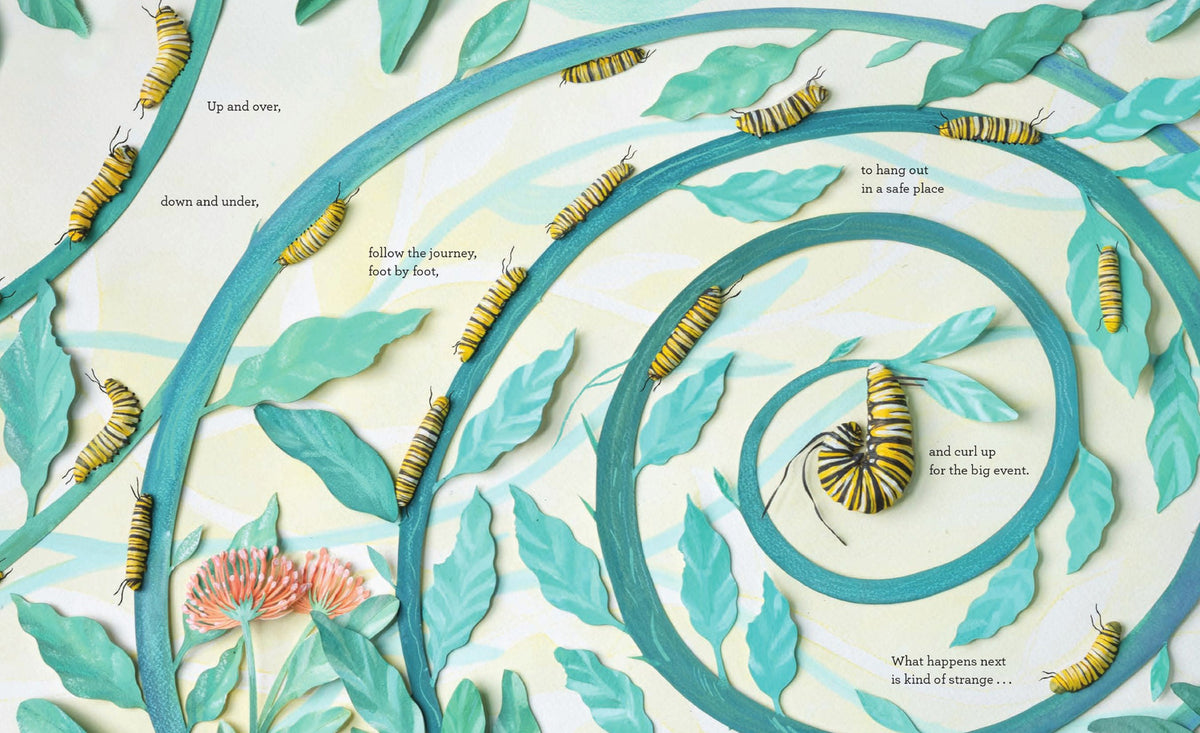 Kaleidoscope of Hope: How Butterfly Life Cycles Reflect Our World