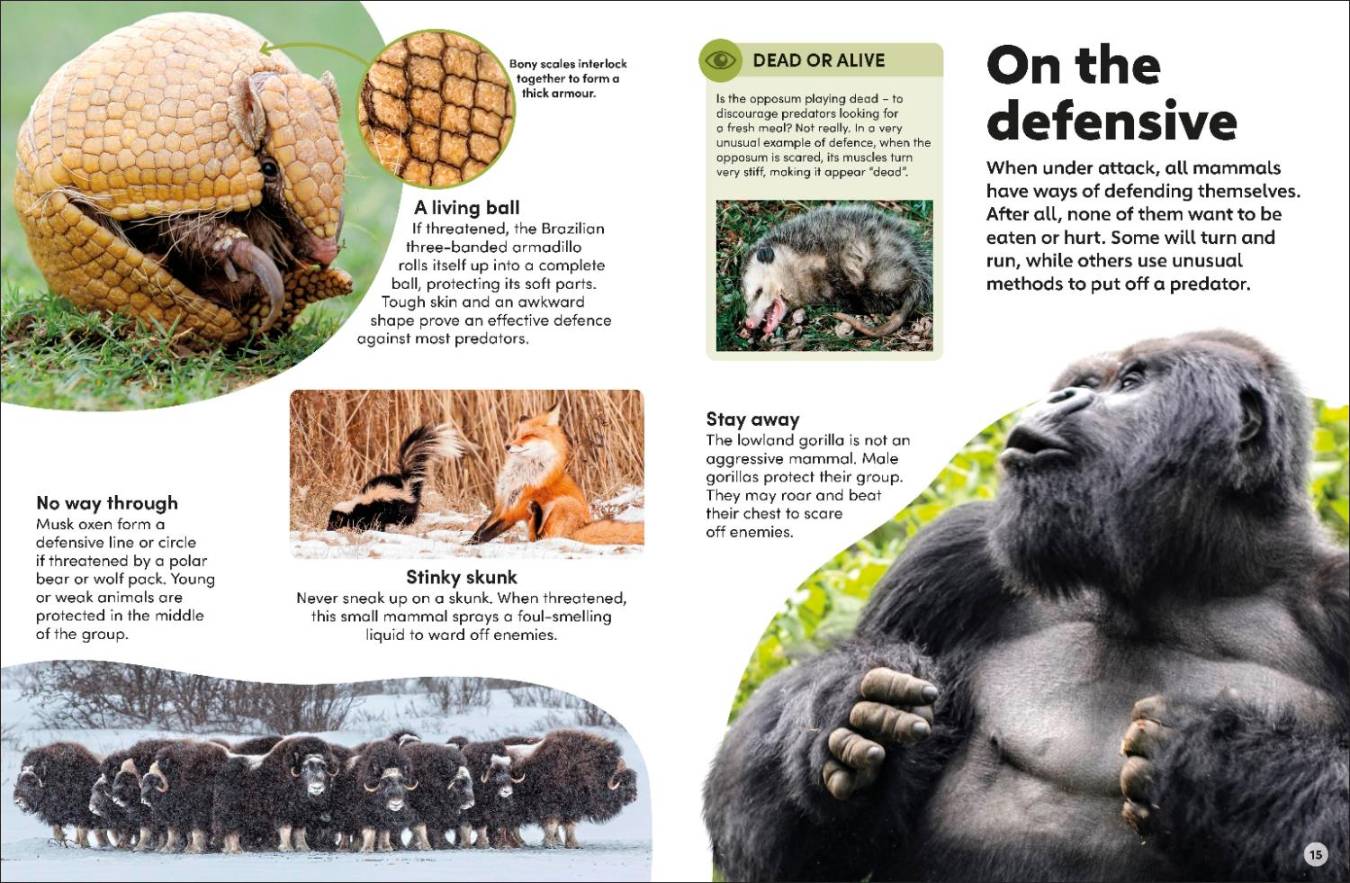 Eyewonder Mammals