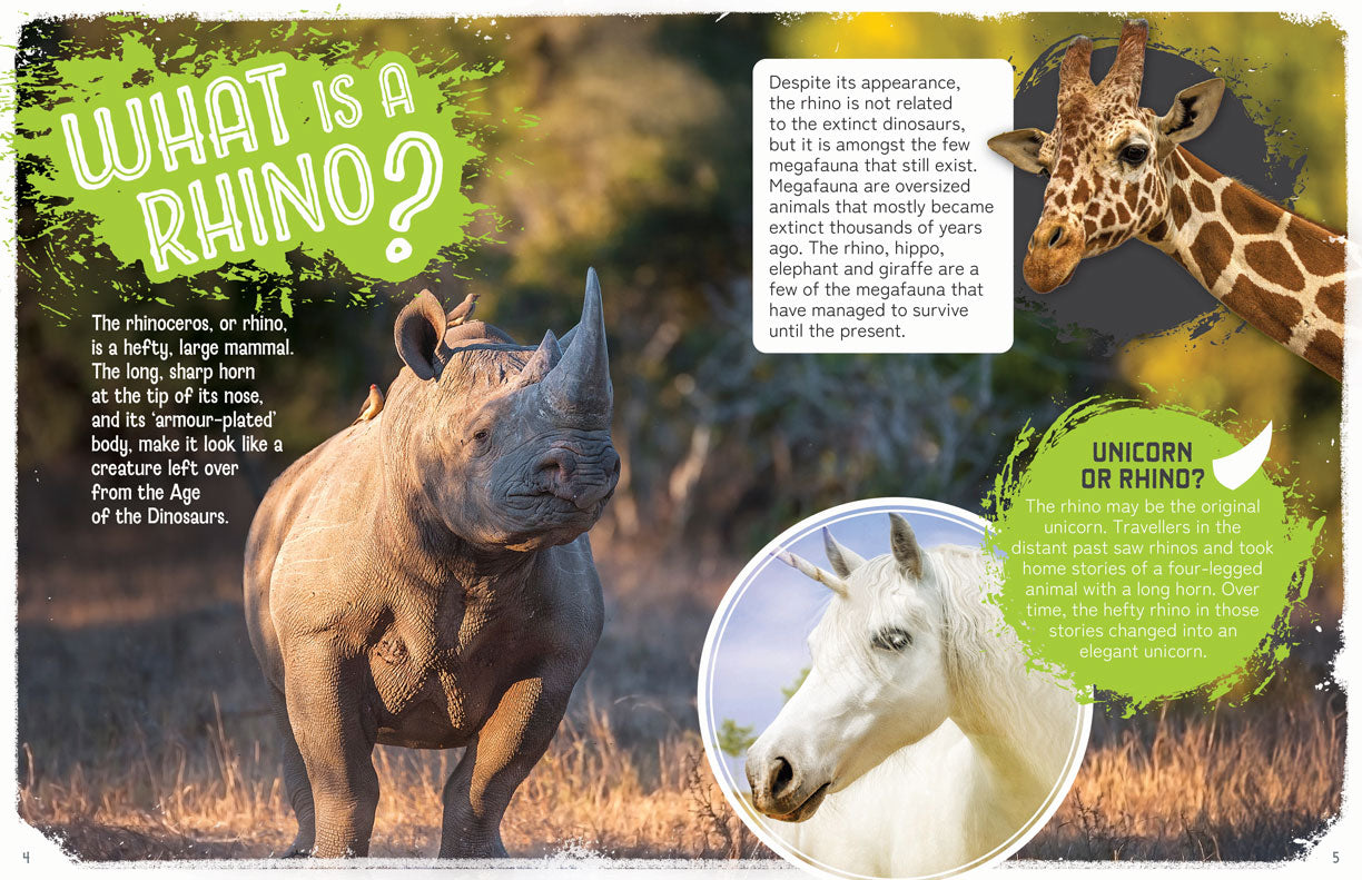 Remarkable Wildlife: Rhinoceros (Rhino)