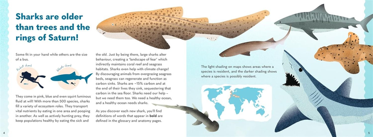 Wonders of the Wild: Sharks